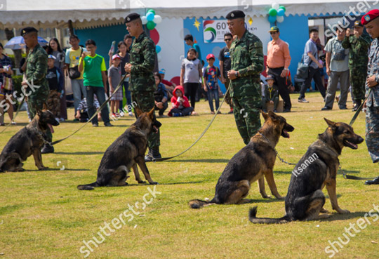 Dog-training-events2